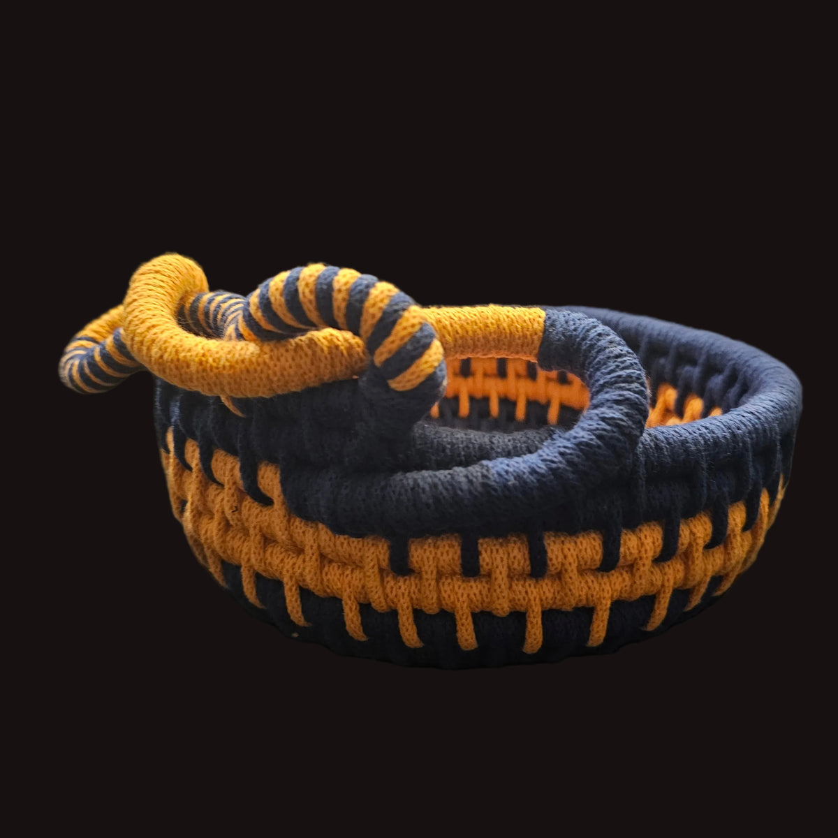 Coiled Baskets